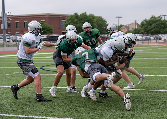 Reedy Spring Ball-115