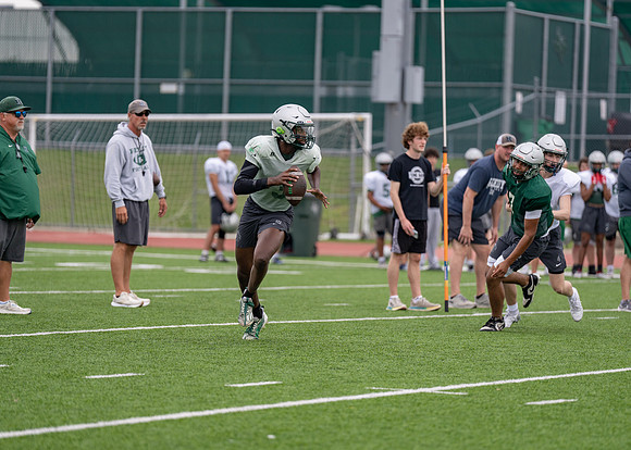 Reedy Spring Ball-55