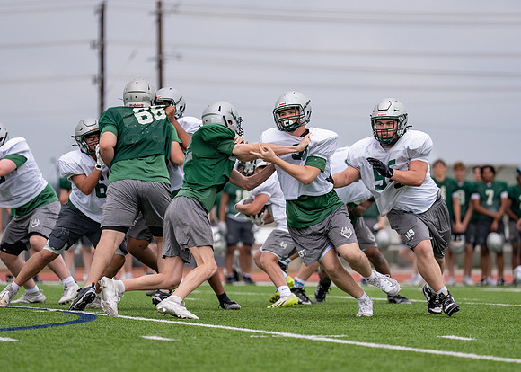 Reedy Spring Ball-79