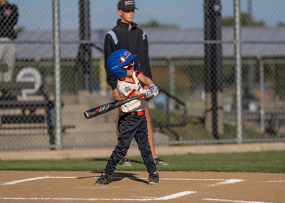 Giants Baseball Action-101