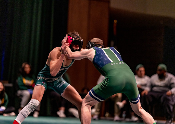 LT vs. Reedy-215