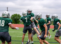 Reedy Spring Ball-18
