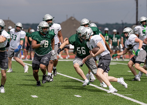 Reedy Spring Ball-109