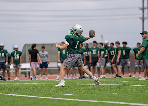 Reedy Spring Ball-83