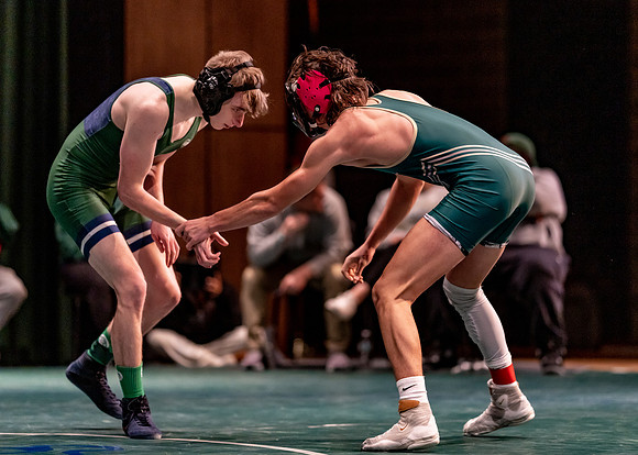 LT vs. Reedy-219