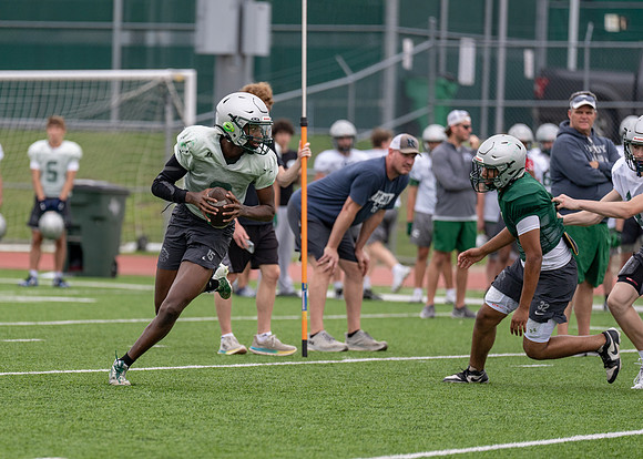 Reedy Spring Ball-54