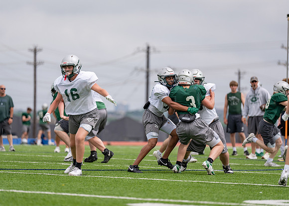 Reedy Spring Ball-100