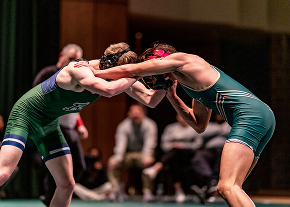 LT vs. Reedy-220