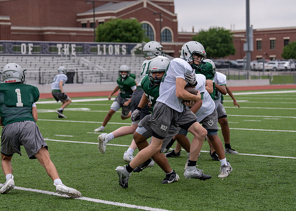 Reedy Spring Ball-40