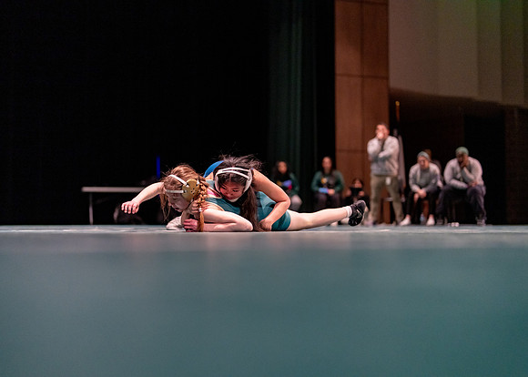 LT vs. Reedy-101