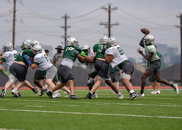 Reedy Spring Ball-102