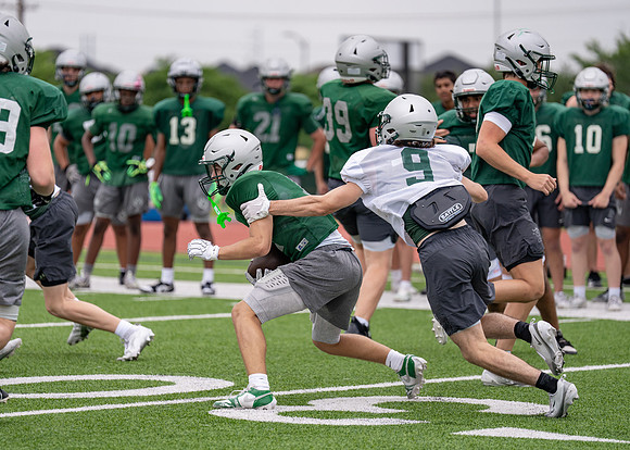 Reedy Spring Ball-51
