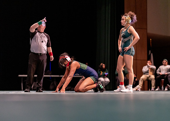 LT vs. Reedy-111
