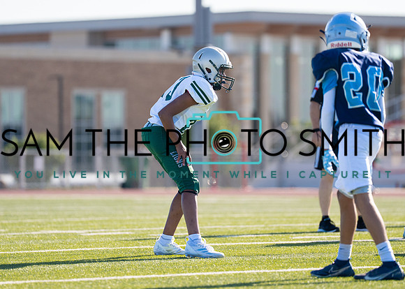Reedy Blue Vs. Emerson_-10