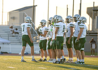 Reedy Green Vs. Emerson_-4