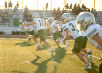 Reedy Green Vs. Emerson_-6