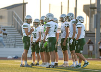 Reedy Green Vs. Emerson_-5