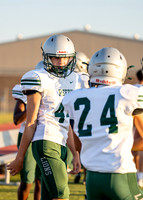 Reedy Green Vs. Emerson_-10