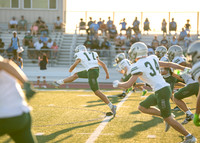 Reedy Green Vs. Emerson_-7