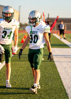 Reedy Green Vs. Emerson_-9