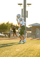 Reedy Green Vs. Emerson_-13