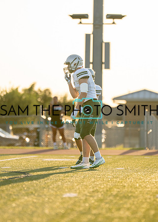 Reedy Green Vs. Emerson_-13