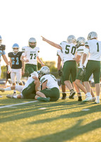Reedy Green Vs. Emerson_-14