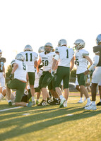 Reedy Green Vs. Emerson_-15
