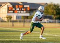 Reedy Green Vs. Emerson_-19