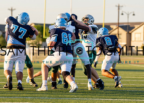 Reedy Green Vs. Emerson_-18