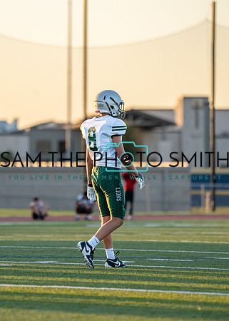 Reedy Green Vs. Emerson_-46