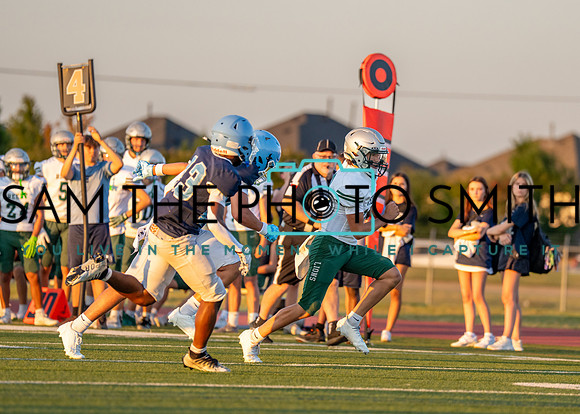 Reedy Green Vs. Emerson_-55