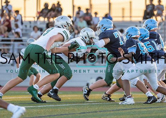 Reedy Green Vs. Emerson_-58