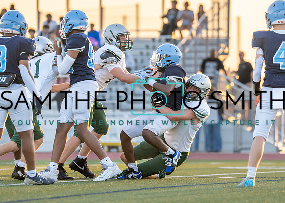 Reedy Green Vs. Emerson_-59