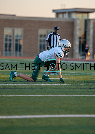 Reedy Green Vs. Emerson_-64