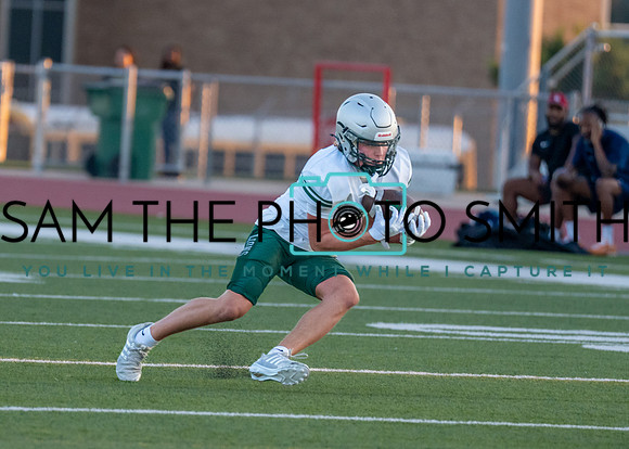 Reedy Green Vs. Emerson_-75
