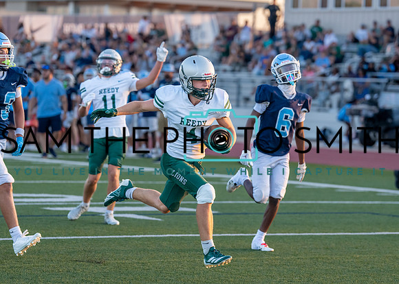Reedy Green Vs. Emerson_-79