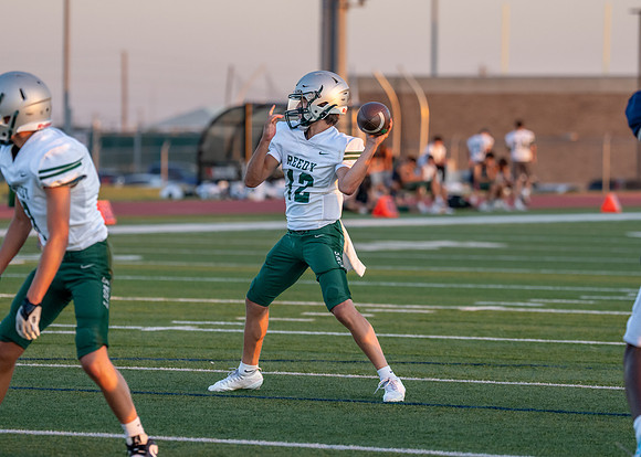 Reedy Green Vs. Emerson_-81
