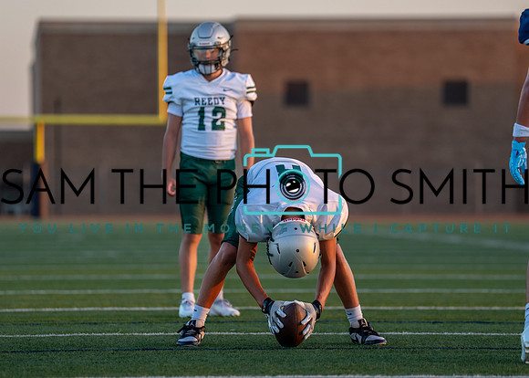 Reedy Green Vs. Emerson_-84