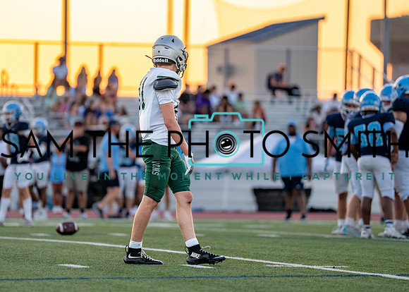 Reedy Green Vs. Emerson_-93