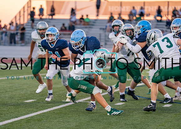 Reedy Green Vs. Emerson_-99