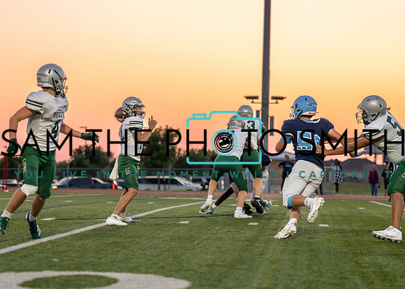 Reedy Green Vs. Emerson_-107