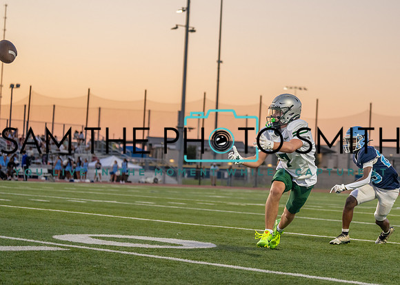 Reedy Green Vs. Emerson_-109
