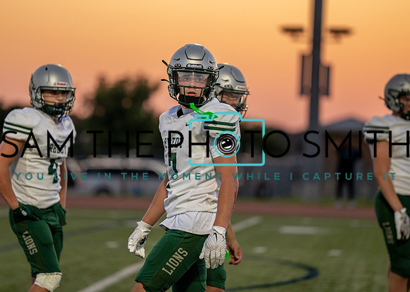 Reedy Green Vs. Emerson_-110