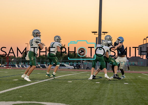 Reedy Green Vs. Emerson_-111