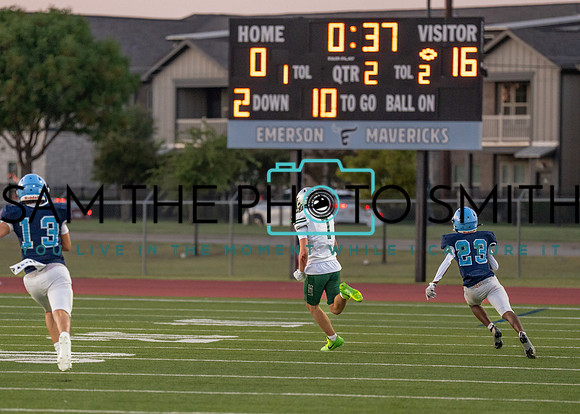 Reedy Green Vs. Emerson_-112