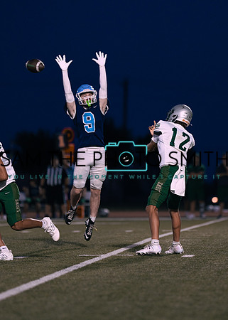 Reedy Green Vs. Emerson_-122