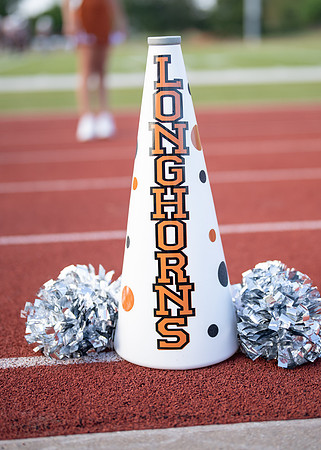 10U Longhorns Cheer