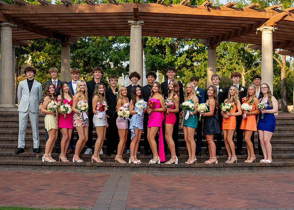 HOCO-100
