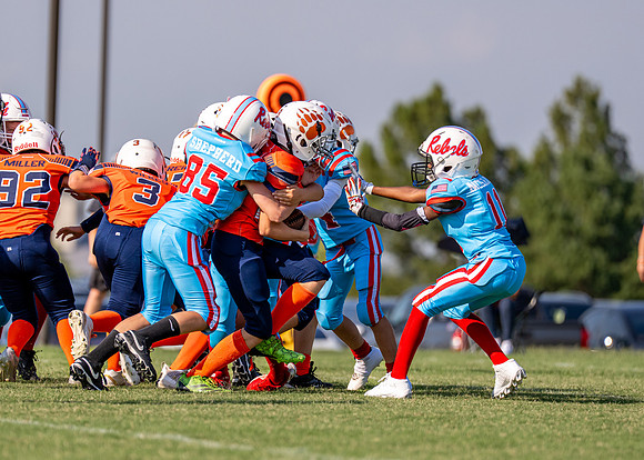 10U Bears vs. Rebels-206